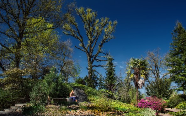 Botanische tuinen sf b