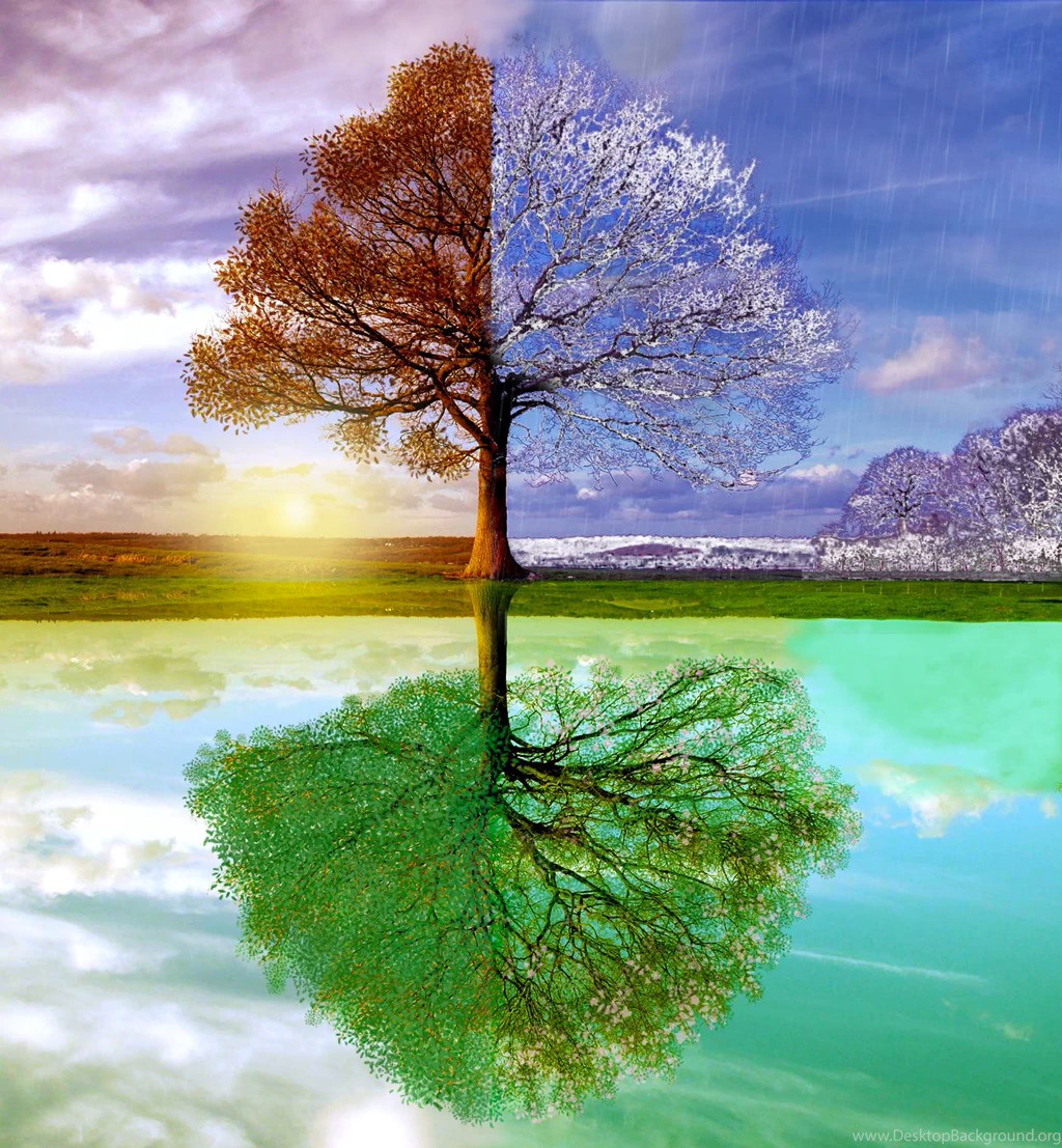 671162_changing-seasons-wallpapers_1400x1514_h
